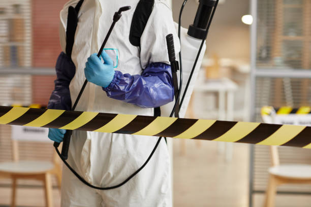 Professional Sewage Cleanup technician working in Waco, TX